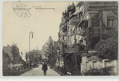 Krlewiec - Promenada parku zamkowego 1908