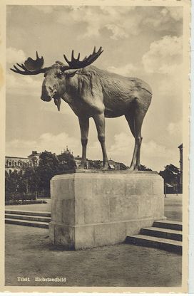 Tilsit - Elchstandbild 1936