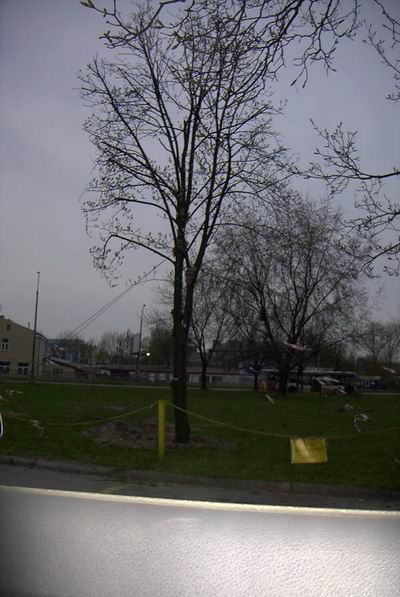 Biaystok 2007-04-19